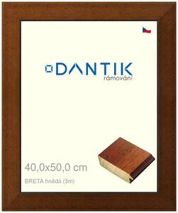 DANTIK rám na obraz 40x50 | BRETA hnědá (Sklo Čiré)