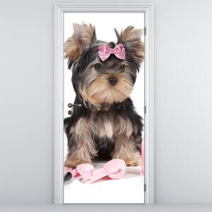 Fototapeta na dvere - malý psík (95x205cm)