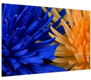 Detailný obraz kvetov (90x60 cm)