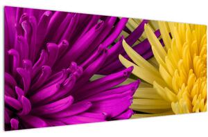 Obraz - detail kvetov (120x50 cm)