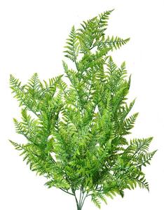 Zelená umelá previsnutá rastlina papradie - 80cm - Clayre & Eef