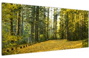 Obraz - les v jeseni (120x50 cm)