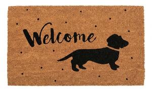 Hnedá kokosová rohožka s jazvečíkom Welcome - 75*45*1 cm - Clayre & Eef