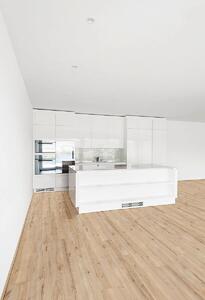 EUROWOOD Vinyl Bříza montreal 46036/0005 - 1.52 m2