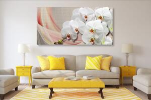 Obraz biela orchidea na plátne