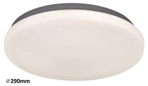 Rabalux LED stropné svietidlo Rob 1x20W | 1400lm | 4000K - priemer 29cm