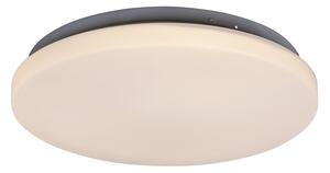 Rabalux LED stropné svietidlo Rob 1x20W | 1400lm | 3000K - priemer 29cm