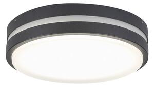 Rabalux LED svietidlo Hamburg 1x12W | 900lm | 4000K | IP44 - antracitová, 8848