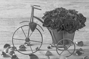 Obraz bicykel plný ruží v čiernobielom prevedení