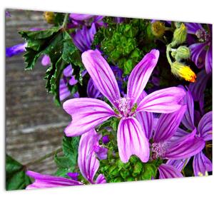 Obraz - lúčne kvety (70x50 cm)