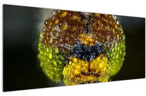 Detailný obraz očí hmyzu (120x50 cm)