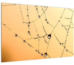 Obraz orosenej pavučiny (90x60 cm)