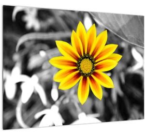 Obraz žltej kvetiny (70x50 cm)