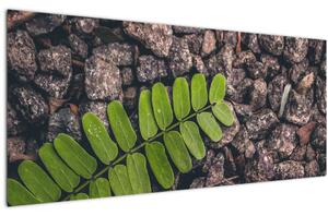 Obraz zelenej rastliny (120x50 cm)
