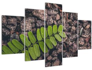 Obraz zelenej rastliny (150x105 cm)