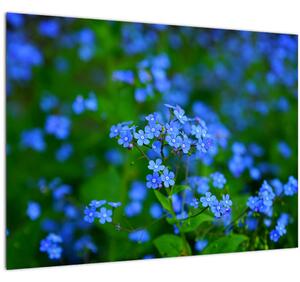 Obraz modrých kvetín (70x50 cm)
