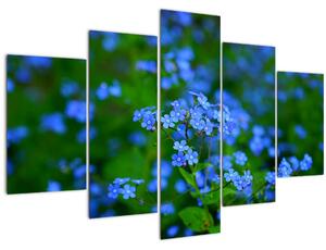 Obraz modrých kvetín (150x105 cm)