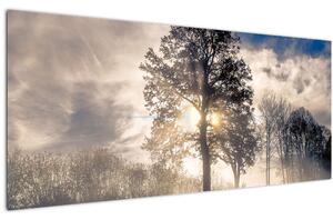Obraz stromu v hmle (120x50 cm)