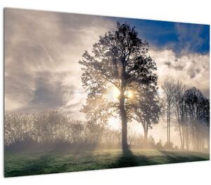 Obraz stromu v hmle (90x60 cm)