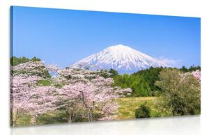 Obraz sopka Fuji