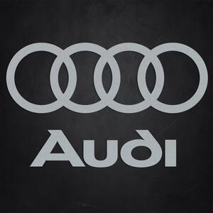 DUBLEZ | Drevené logo a nápis na stenu - Audi