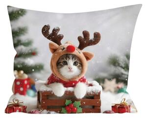 3D obliečka na vankúš z mikrovlákna RUDOLPH KITTEN 45x45 cm, farebný