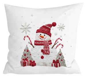 3D obliečka na vankúš z mikrovlákna CANDY FROST 45x45 cm, farebný