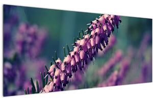 Obraz fialovej kvetiny (120x50 cm)
