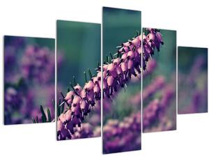 Obraz fialovej kvetiny (150x105 cm)
