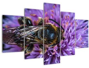 Obraz včely na kvetine (150x105 cm)