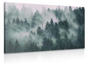 Obraz hory v hmle