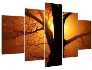 Obraz stromu pri západe slnka (150x105 cm)