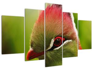 Obraz farebného vtáka (150x105 cm)
