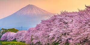 Obraz nádherné Japonsko