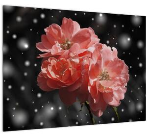 Obraz ružovej kvetiny (70x50 cm)