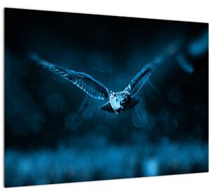 Obraz letiacej sovy (70x50 cm)