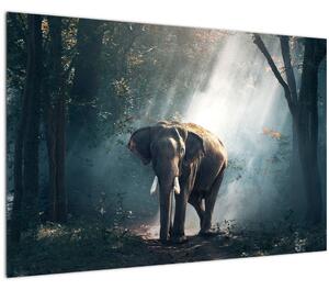 Obraz slona v džungli (90x60 cm)