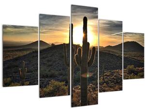 Obraz - kaktusy v slnku (150x105 cm)