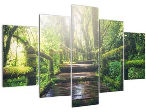 Obraz - drevené schody v lese (150x105 cm)