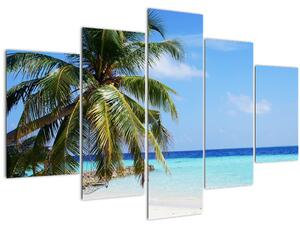 Obraz palmy na pláži (150x105 cm)