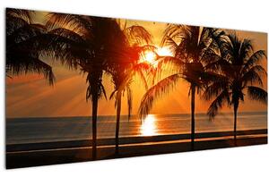 Obraz palmy v západe slnka (120x50 cm)