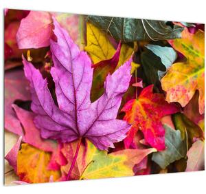 Obraz - jesenné listy (70x50 cm)