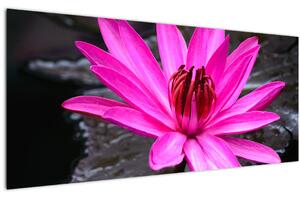 Obraz - ružový kvet (120x50 cm)