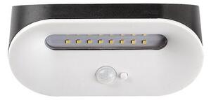 Rabalux BREZNO LED solárna lampa 77006