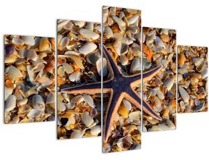 Obraz morskej hviezdice (150x105 cm)