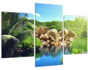 Obraz jazera v Seychelskej džungli (90x60 cm)