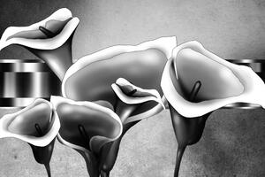 Obraz elegantné kvety kaly v čiernobielom prevedení