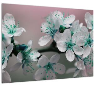 Obraz kvetov - tyrkysové (70x50 cm)