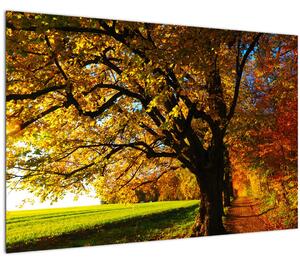 Obraz jesenného stromu (90x60 cm)