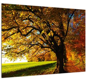 Obraz jesenného stromu (70x50 cm)